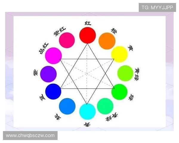 飞盘速度提升全指南从基础到进阶的全面解析与实战技巧